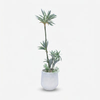 Premium Alluring Artificial Yucca Green Plant with White Decorative Pot for Home & Office Decor