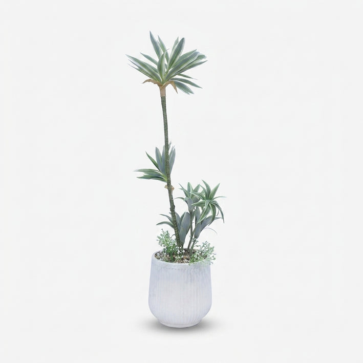 Premium Alluring Artificial Yucca Green Plant with White Decorative Pot for Home & Office Decor
