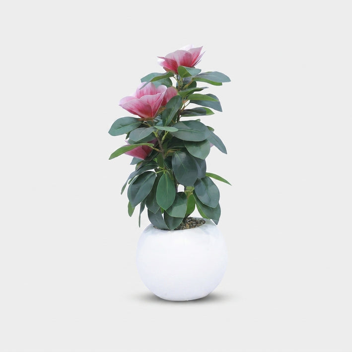 Premium Elegant Artificial Tall Green Dracaena Plant with Decorative Pot for Home & Office Decoration