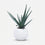 Premium Gorgeous Artificial Green Round Leaf Bush Plant with White Decorative Pot for Home Decor