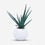 Artificial Aloe Vera Plant with White Pot, Green Faux Succulent Tabletop Plant / Indoor Decorative Plant / Home & Office Décor