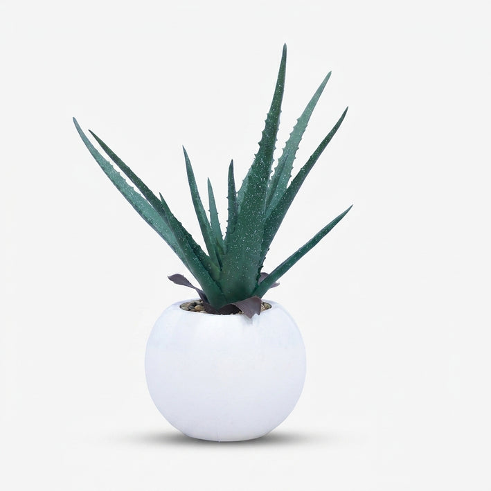 Artificial Aloe Vera Plant with White Pot, Green Faux Succulent Tabletop Plant / Indoor Decorative Plant / Home & Office Décor