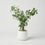 Premium Graceful Artificial Green Agave Succulent Plant with White Decorative Pot for Home & Office