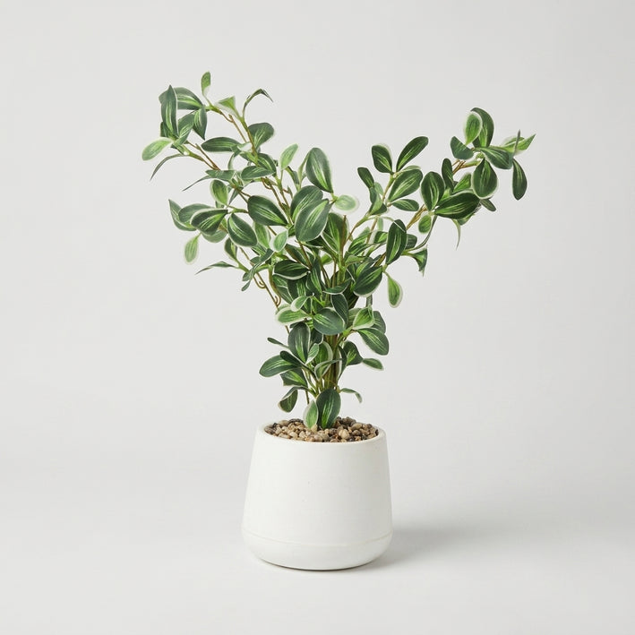 Premium Graceful Artificial Green Agave Succulent Plant with White Decorative Pot for Home & Office