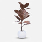 Premium Elegant Artificial Peach Magnolia Flower Plant with Green Leaves and White Decorative Pot