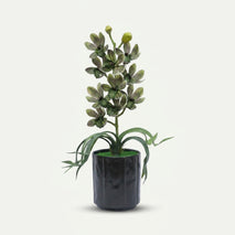 Artificial Flower Pot with Green Floral Arrangement, Multicolour Plastic & Silk Decorative Flower Plant for Home Décor, Table Décor & Gifting