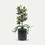 Artificial Flower Pot with Green Floral Arrangement, Multicolour Plastic & Silk Decorative Flower Plant for Home Décor, Table Décor & Gifting