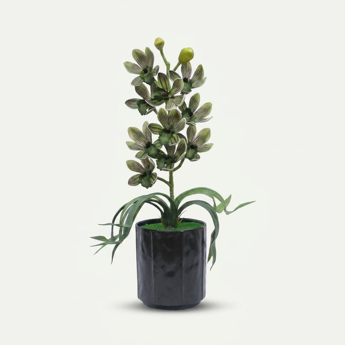 Artificial Flower Pot with Green Floral Arrangement, Multicolour Plastic & Silk Decorative Flower Plant for Home Décor, Table Décor & Gifting