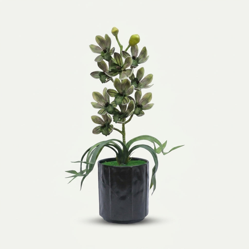Premium Artificial Green Cymbidium Orchid Floral Arrangement - Realistic Faux Potted Plant in Black Cylindrical Pot
