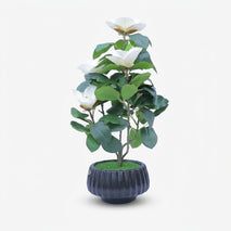 Artificial White Flower Pot with Green Leaves, Multicolour Plastic Decorative Flower Plant for Home Décor, Table Décor & Gifting