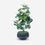 Artificial White Flower Pot with Green Leaves, Multicolour Plastic Decorative Flower Plant for Home Décor, Table Décor & Gifting