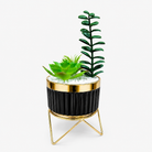 Artificial Succulent Plant in Black & Gold Ceramic Pot with Stand, Multicolour Decorative Plant for Home Décor, Table Décor & Gifting