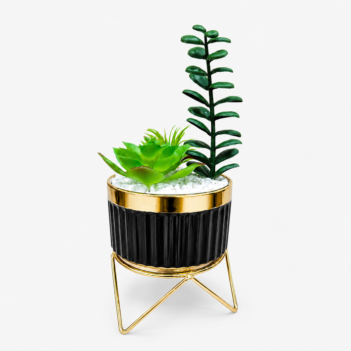 Artificial Succulent Plant in Black & Gold Ceramic Pot with Stand, Multicolour Decorative Plant for Home Décor, Table Décor & Gifting