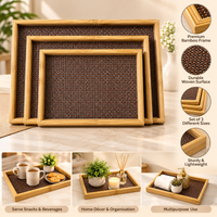 Anupam Serving Trays Brown & Gold 118079b product view 2