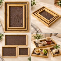 Anupam Serving Trays Brown & Gold 118079b product view 3