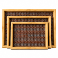 Anupam Serving Trays Brown & Gold 118079b product view 4