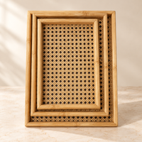 Anupam Serving Trays Beige & Natural Brown 118079c product view 1