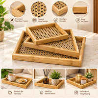 Anupam Serving Trays Beige & Natural Brown 118079c product view 2