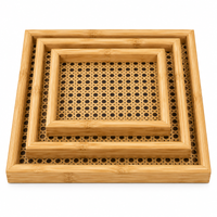 Anupam Serving Trays Beige & Natural Brown 118079c product view 4