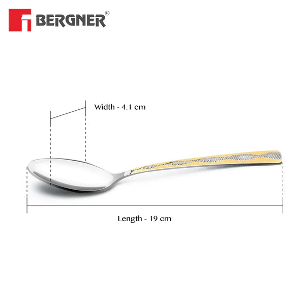 S6 DINNER SPOON