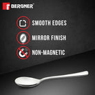 S6 DINNER SPOON