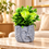 Premium Artificial Graceful Flower Pot Home Decor, Decorative Home Item / Tabletop Statue / Luxury Flower Showpiece for Living Room, Office & Gifting