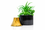 Premium Artificial Flower Metal Pot with Stand Home Decor, Decorative Home Item / Tabletop Statue / Luxury Flower Showpiece for Living Room, Office & Gifting