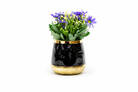Premium Artificial Beautiful Flower Pot Home Decor, Decorative Home Item / Tabletop Statue / Luxury Flower Showpiece for Living Room, Office & Gifting