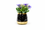 Premium Artificial Beautiful Flower Pot Home Decor, Decorative Home Item / Tabletop Statue / Luxury Flower Showpiece for Living Room, Office & Gifting
