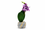 Premium Artificial Good Looks Flower Pot Home Decor, Decorative Home Item / Tabletop Statue / Luxury Flower Showpiece for Living Room, Office & Gifting