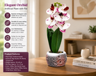 Premium Artificial Decorative Flower Pot Home Decor, Decorative Home Item / Tabletop Statue / Luxury Flower Showpiece for Living Room, Office & Gifting