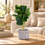 Premium Artificial Graceful Flower Pot Home Decor, Decorative Home Item / Tabletop Statue / Luxury Flower Showpiece for Living Room, Office & Gifting