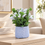 Premium Artificial Graceful Flower Pot Home Decor, Decorative Home Item / Tabletop Statue / Luxury Flower Showpiece for Living Room, Office & Gifting