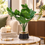 Premium Artificial Beautiful Flower Pot Home Decor, Decorative Home Item / Tabletop Statue / Luxury Flower Showpiece for Living Room, Office & Gifting