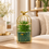 Premium Artificial Beautiful Flower Pot Home Decor, Decorative Home Item / Tabletop Statue / Luxury Flower Showpiece for Living Room, Office & Gifting