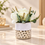 Premium Artificial Eye-Catching Flower Pot Home Decor, Decorative Home Item / Tabletop Statue / Luxury Flower Showpiece for Living Room, Office & Gifting