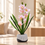 Premium Artificial Beautiful Flower Pot Home Decor, Decorative Home Item / Tabletop Statue / Luxury Flower Showpiece for Living Room, Office & Gifting