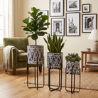 Premium Set of 3 Modern Decorative Planter Stands with Black & White Printed Pots