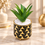 Premium Artificial Beautiful Flower Pot Home Decor, Decorative Home Item / Tabletop Statue / Luxury Flower Showpiece for Living Room, Office & Gifting