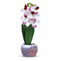 Premium Artificial Decorative Flower Pot Home Decor, Decorative Home Item / Tabletop Statue / Luxury Flower Showpiece for Living Room, Office & Gifting
