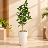 White Blossom Artificial Decorative Tree with Tall Textured Cream Planter, 45 x 9 inches - view 1