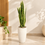 Variegated Snake Plant Artificial Floor Plant with Textured Cream Planter, 43 x 8.5 inches - view 1