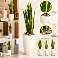 Variegated Snake Plant Artificial Floor Plant with Textured Cream Planter, 43 x 8.5 inches - view 2