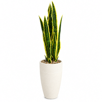 Variegated Snake Plant Artificial Floor Plant with Textured Cream Planter, 43 x 8.5 inches - view 6