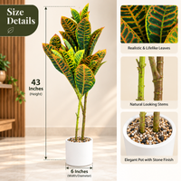 Anupam artificial Croton plant with white pot, 43 inches - size details, 43 inch height and 6 inch pot diameter