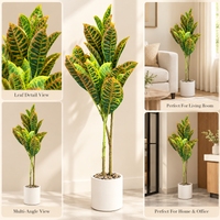 Anupam artificial Croton plant with white pot, 43 inches - styling and multiple angles