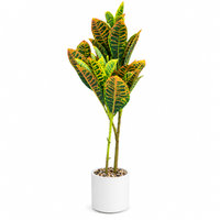 Anupam artificial Croton plant with white pot, 43 inches - white background