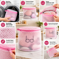 Anupam bra laundry wash bag product details