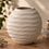 Shell Design Ceramic Flower Vase, Cream White Black Decorative Vase for Home Décor, Table Décor & Gifting