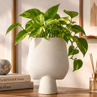 Anupam Premium Elegant Beige Modern Pedestal Ceramic Vase for Living Room Home Decor Without Flower Sticks - Pack of 1